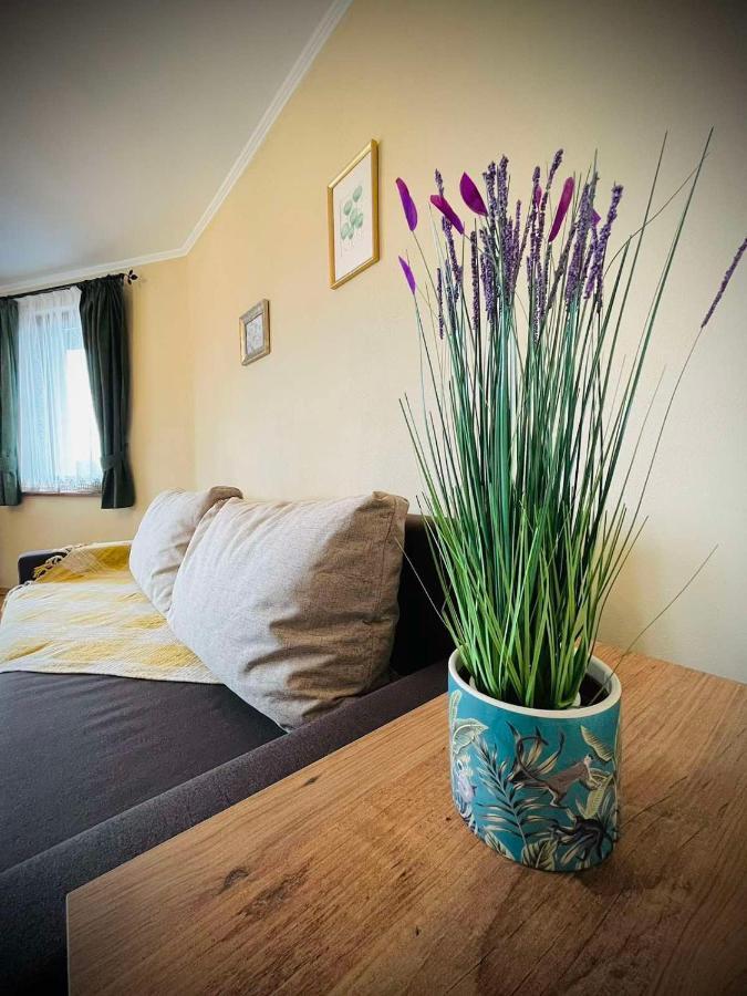 The Green Guest House Of Veliko Tarnovo-Amazing View, Top Location Exterior photo